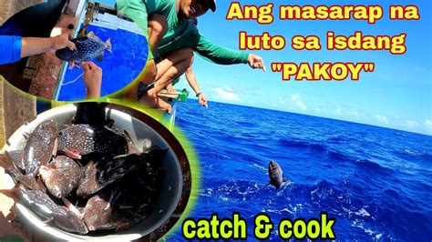 ang masarap na osus ni lodi cathryona lei|Ang Masarap Na Osus ni Lodi Cathryona Lei.